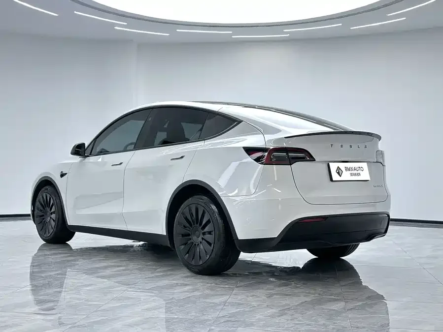 Tesla Model Y Model Y 2024 long-range all-wheel drive version 2024 — миниатюра 2