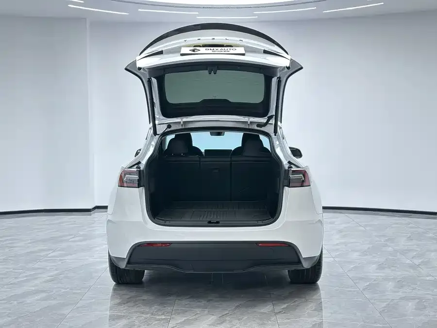 Tesla Model Y Model Y 2024 long-range all-wheel drive version 2024 — миниатюра 3