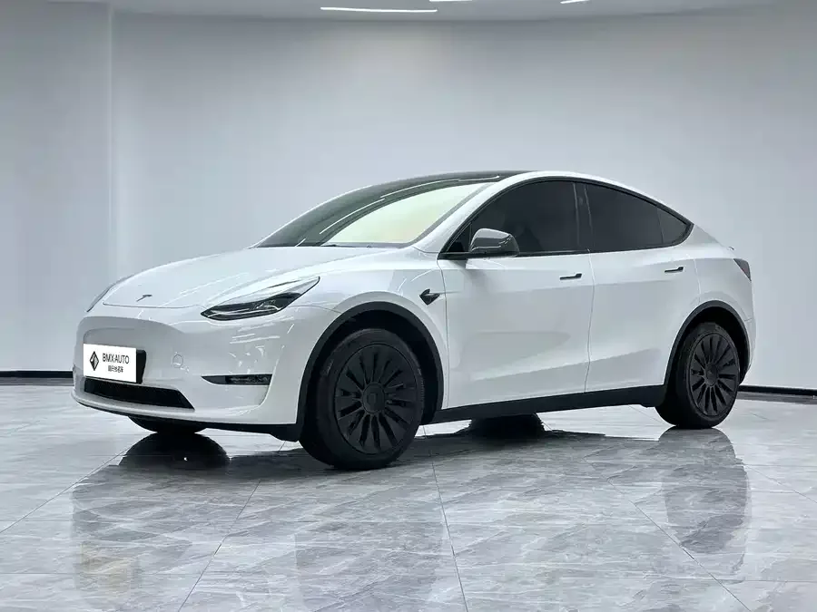 Tesla Model Y Model Y 2024 long-range all-wheel drive version 2024 — фото 1, купить с доставкой в Москву