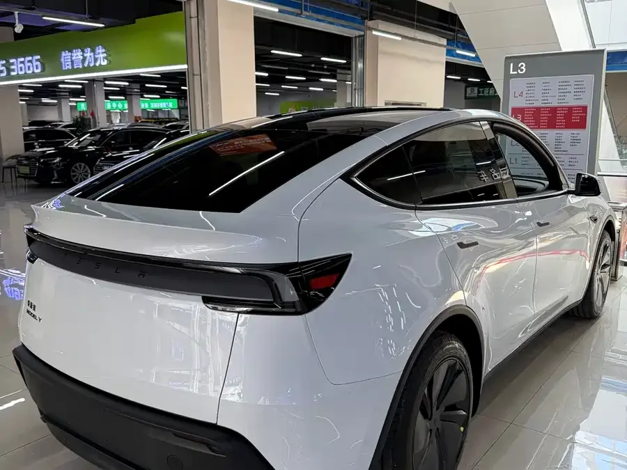 Tesla Model Y Model Y 2026 Rear-Wheel Drive 2026 — миниатюра 3