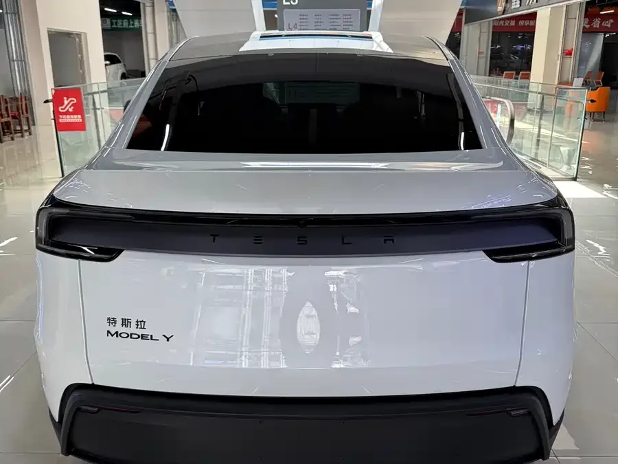 Tesla Model Y Model Y 2026 Rear-Wheel Drive 2026 — миниатюра 5