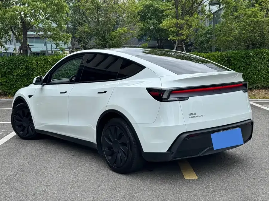 Tesla Model Y Model Y 2025 long-range all-wheel drive version 2025 — миниатюра 4