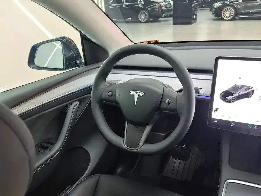 Tesla Model Y Model Y 2023 rear-wheel drive version 2023 — миниатюра 5