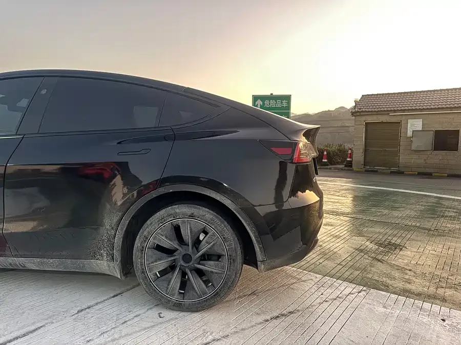 Tesla Model Y Model Y 2024 rear-wheel drive version 2024 — миниатюра 3