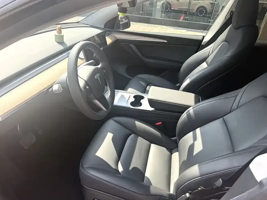 Tesla Model Y Model Y 2022 rear-wheel drive version 2022 — миниатюра 4