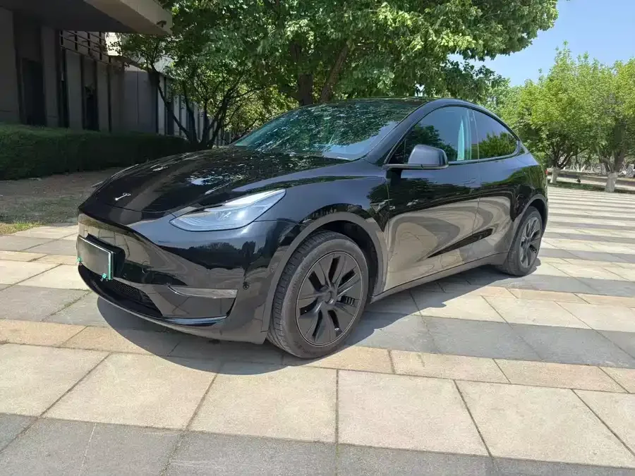 Tesla Model Y Model Y 2023 long-range all-wheel drive version 2024 — фото 1, купить с доставкой в Москву