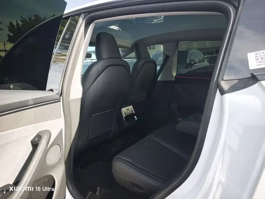 Tesla Model Y Model Y 2025 rear-wheel drive first edition 2025 — миниатюра 3