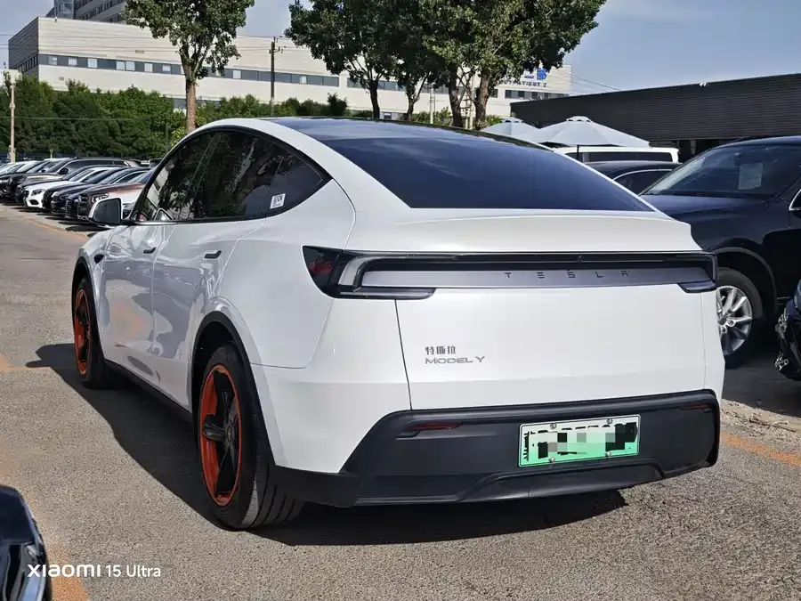 Tesla Model Y Model Y 2025 rear-wheel drive first edition 2025 — миниатюра 4