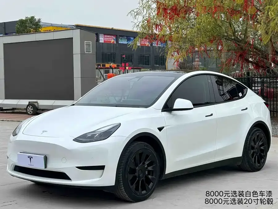 Tesla Model Y Model Y 2022 facelift rear-wheel drive version 2023 — фото 1, купить с доставкой в Москву