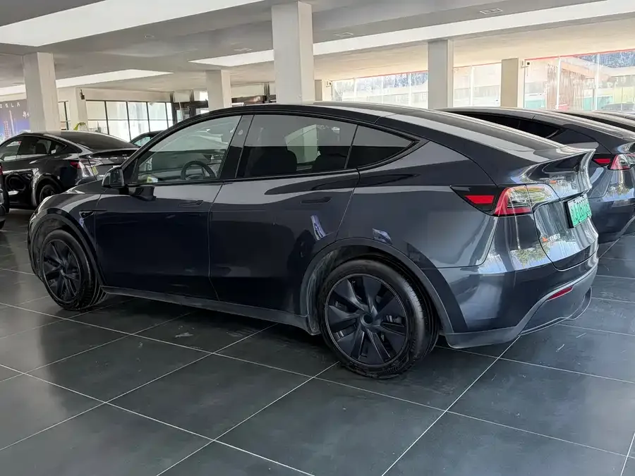 Tesla Model Y Model Y 2024 rear-wheel drive version 2024 — миниатюра 4