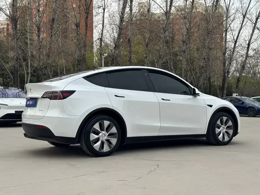 Tesla Model Y Model Y 2022 Long Range All-Wheel Drive Version 2022 — миниатюра 3