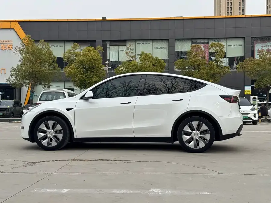 Tesla Model Y Model Y 2022 Long Range All-Wheel Drive Version 2022 — миниатюра 5