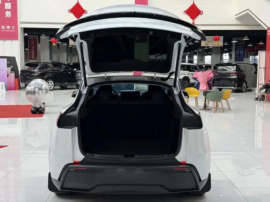 Tesla Model Y Model Y 2025 long-range all-wheel drive version 2025 — миниатюра 4