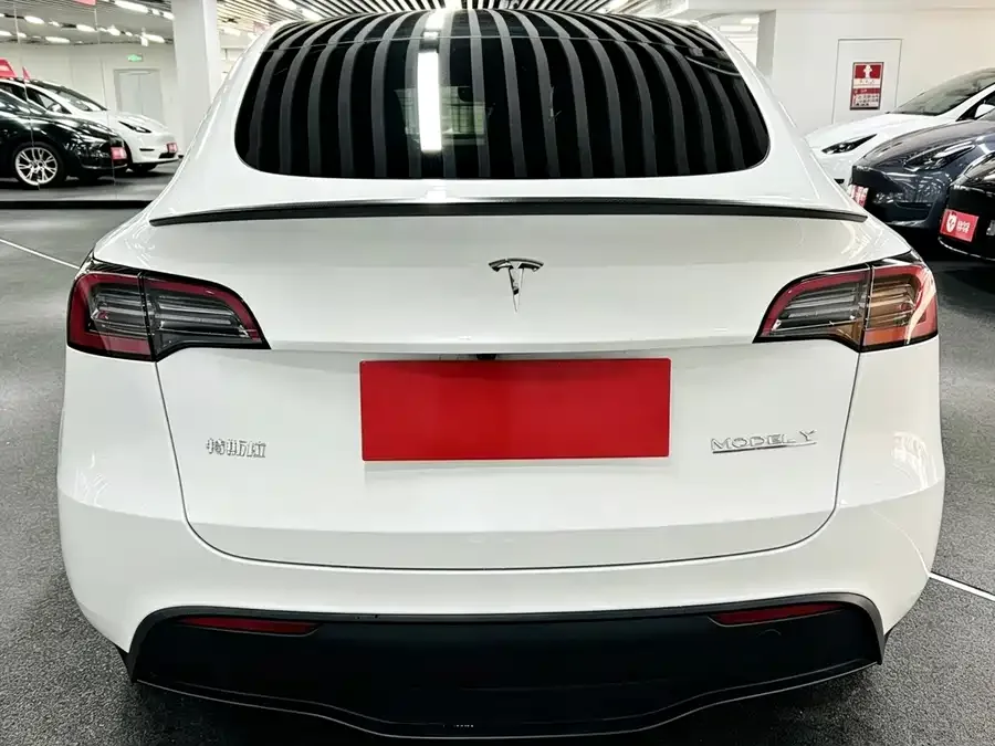 Tesla Model Y Model Y 2024 Performance version 2024 — миниатюра 2