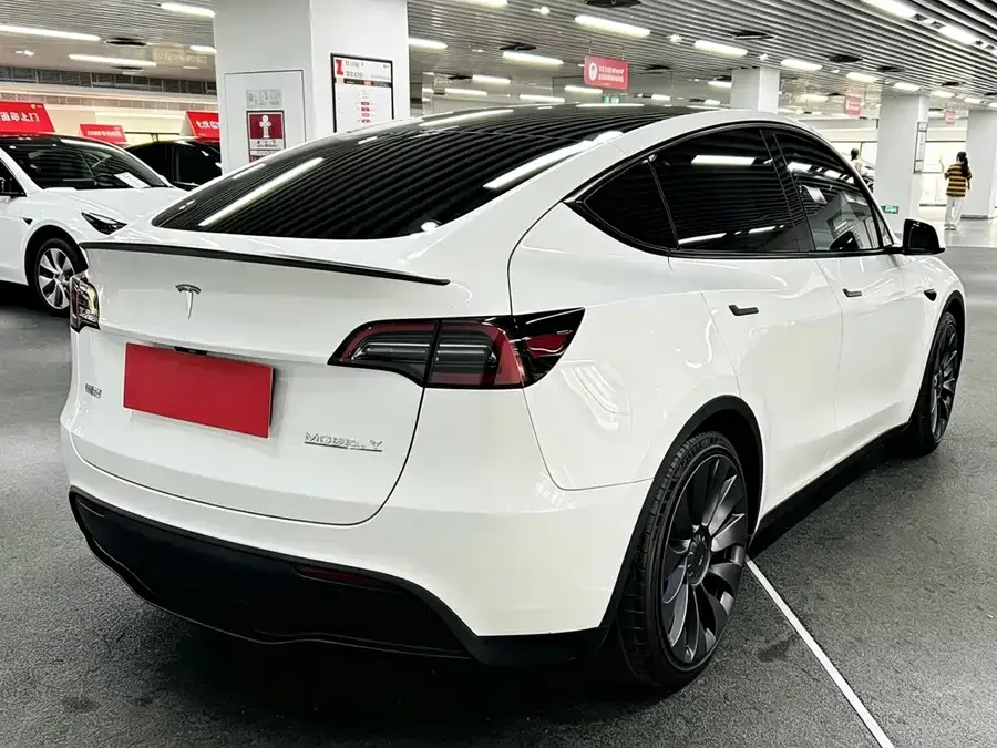 Tesla Model Y Model Y 2024 Performance version 2024 — миниатюра 4