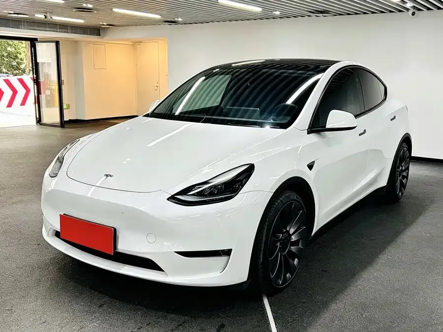 Tesla Model Y Model Y 2024 Performance version 2024 — фото 1, купить с доставкой в Москву