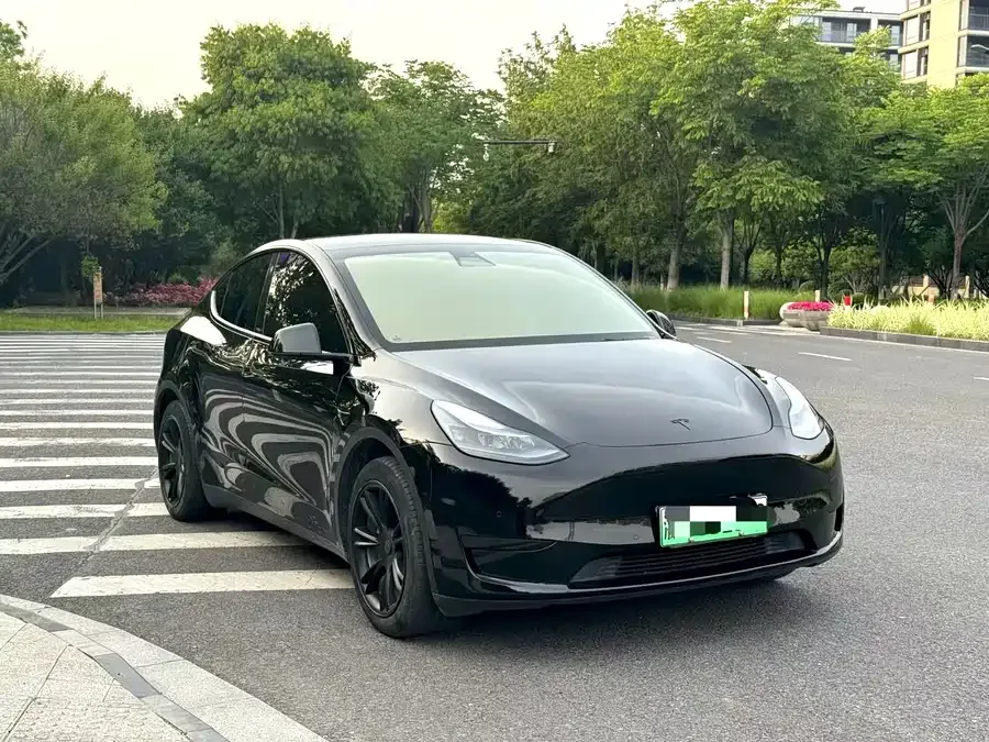 Tesla Model Y Model Y 2022 rear-wheel drive version 2023 — миниатюра 3