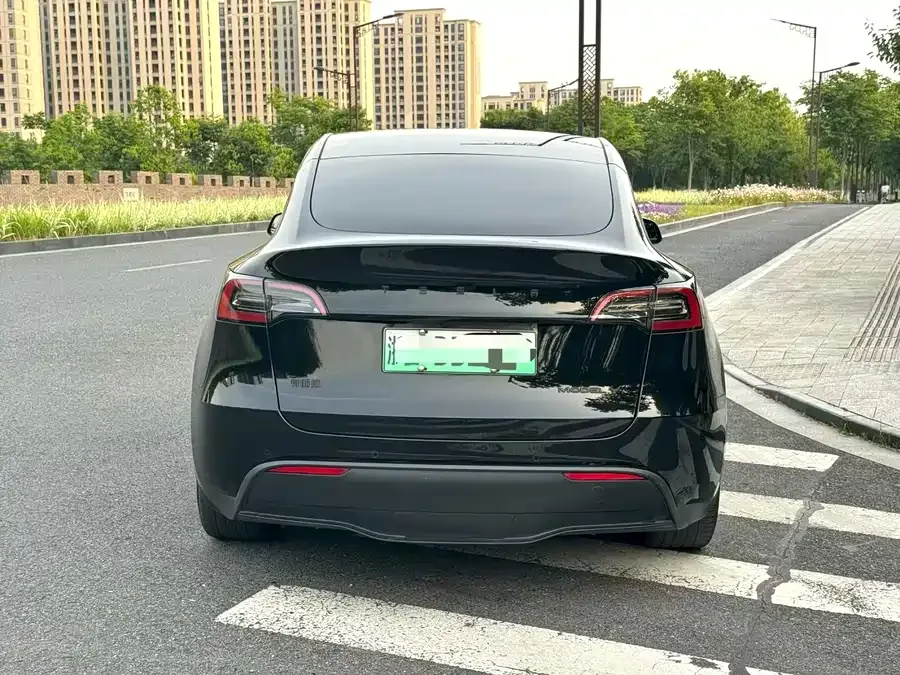 Tesla Model Y Model Y 2022 rear-wheel drive version 2023 — миниатюра 4