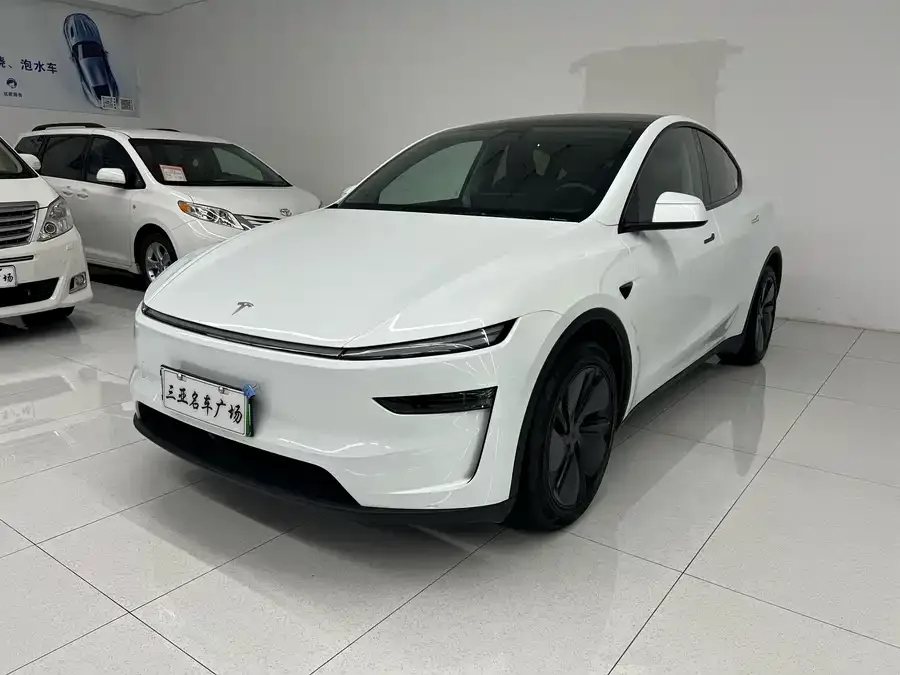Tesla Model Y Model Y 2025 rear-wheel drive version 2025 — фото 1, купить с доставкой в Москву