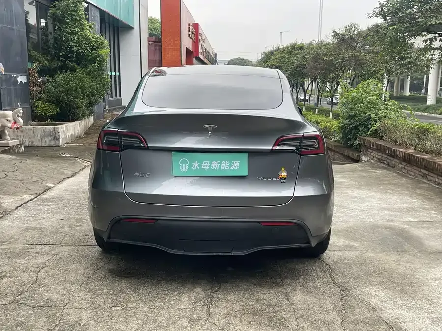 Tesla Model Y Model Y 2024 long-range all-wheel drive version 2024 — миниатюра 5