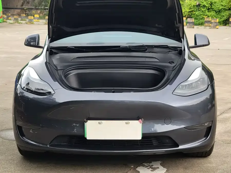 Tesla Model Y Model Y 2021 Standard Range Rear-wheel Drive Version 2022 — миниатюра 2