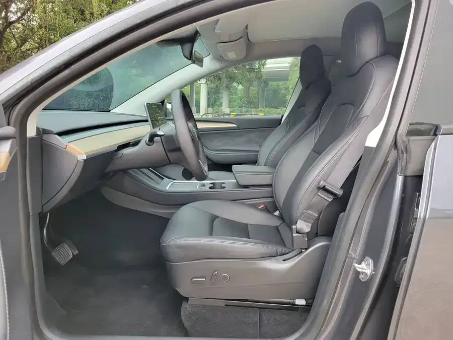 Tesla Model Y Model Y 2021 Standard Range Rear-wheel Drive Version 2022 — миниатюра 3