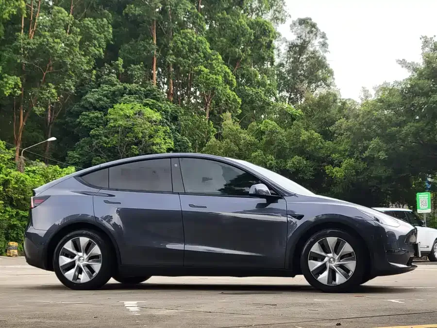 Tesla Model Y Model Y 2021 Standard Range Rear-wheel Drive Version 2022 — миниатюра 4