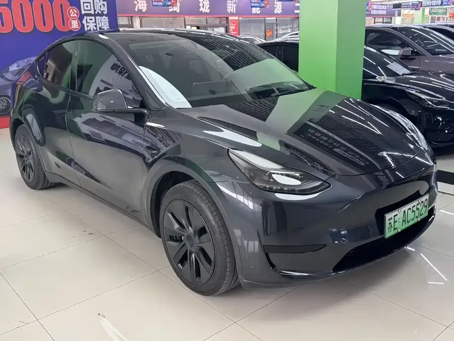 Tesla Model Y Model Y 2024 rear-wheel drive version 2024 — миниатюра 3