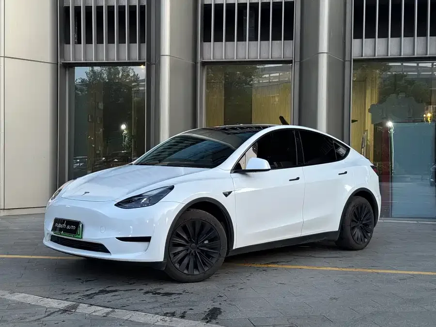 Tesla Model Y Model Y 2024 rear-wheel drive version 2025 — фото 1, купить с доставкой в Москву