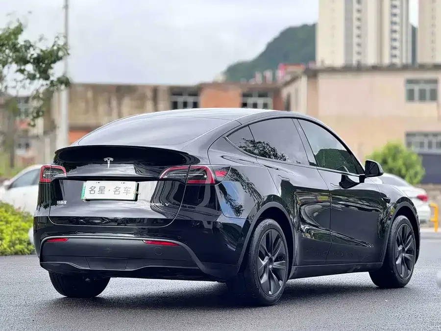 Tesla Model Y Model Y 2023 long-range all-wheel drive version 2024 — миниатюра 3