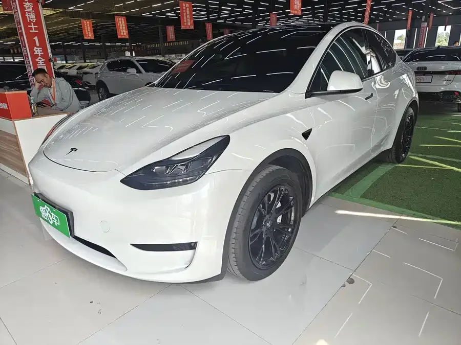 Tesla Model Y Model Y 2024 rear-wheel drive version 2024 — миниатюра 4