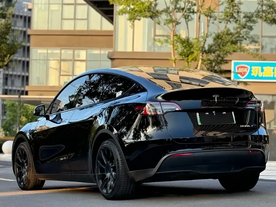 Tesla Model Y Model Y 2022 rear-wheel drive version 2022 — миниатюра 3