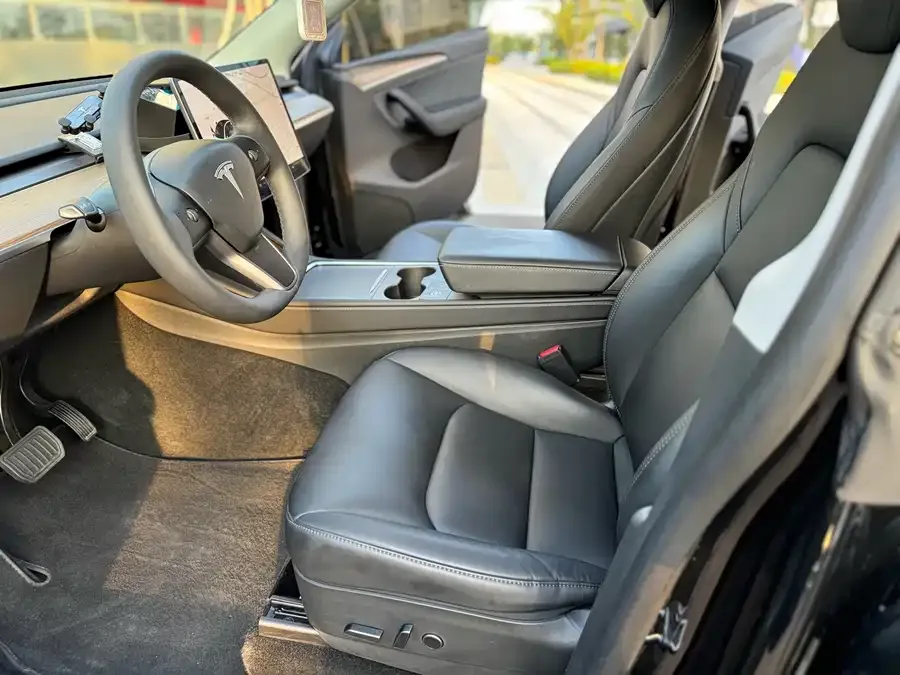 Tesla Model Y Model Y 2022 rear-wheel drive version 2022 — миниатюра 4
