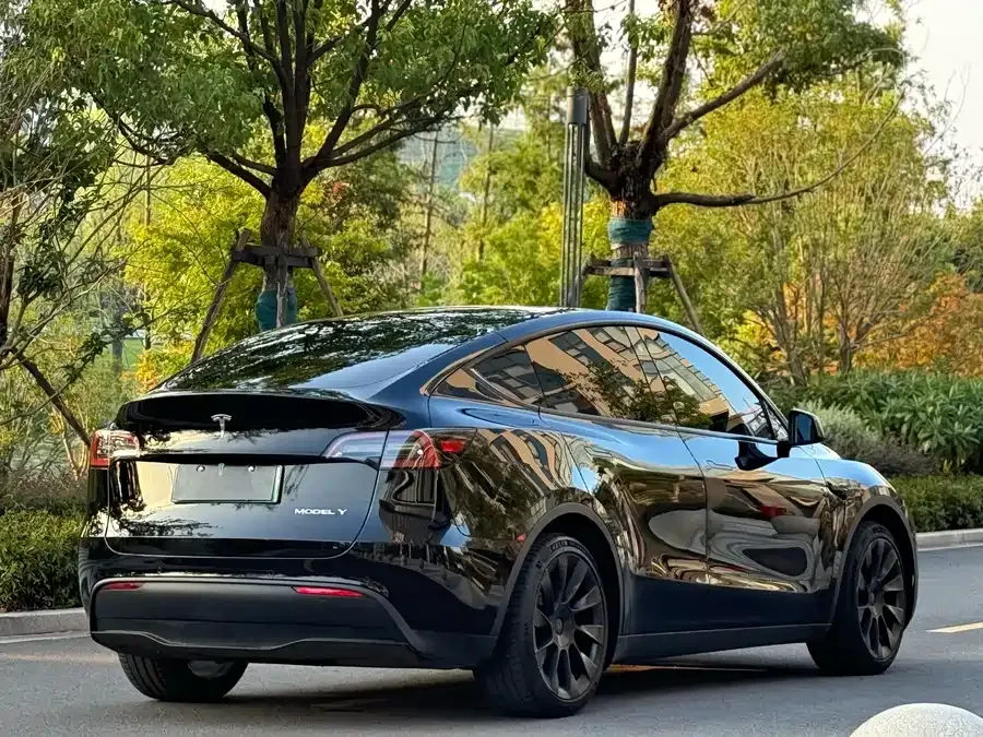 Tesla Model Y Model Y 2022 rear-wheel drive version 2022 — миниатюра 5