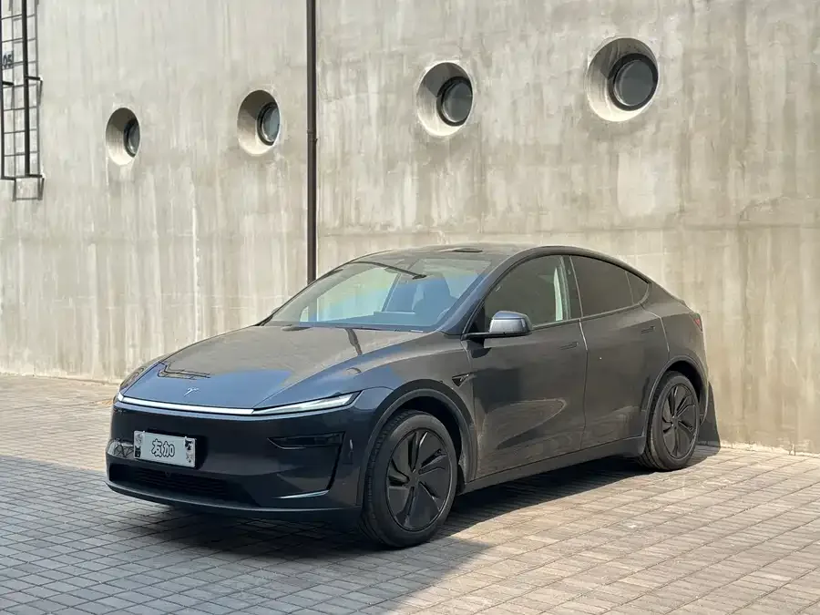 Tesla Model Y Model Y 2025 rear-wheel drive version 2025 — фото 1, купить с доставкой в Москву