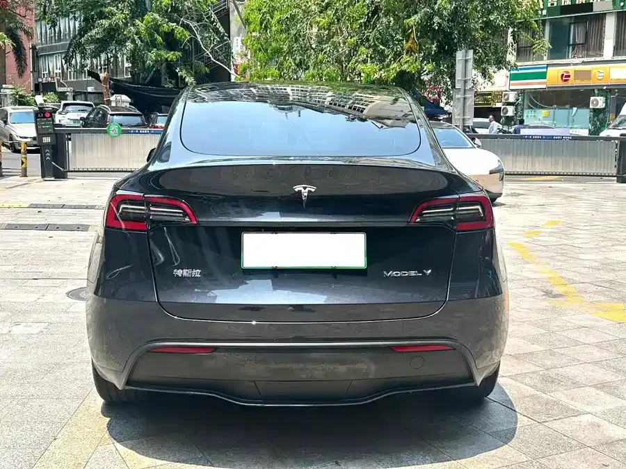 Tesla Model Y Model Y 2024 rear-wheel drive version 2024 — миниатюра 5