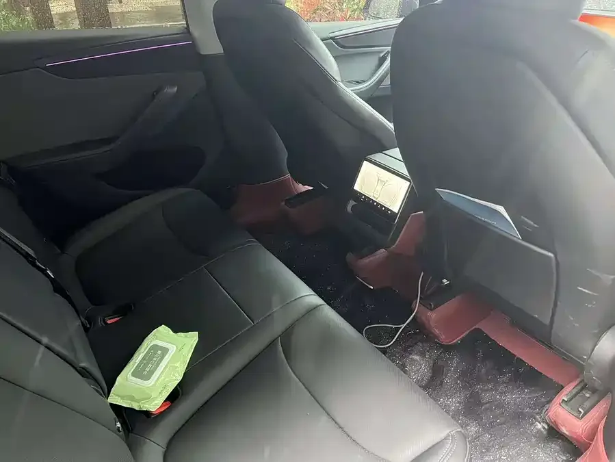 Tesla Model Y Model Y 2025 rear-wheel drive first edition 2025 — миниатюра 2