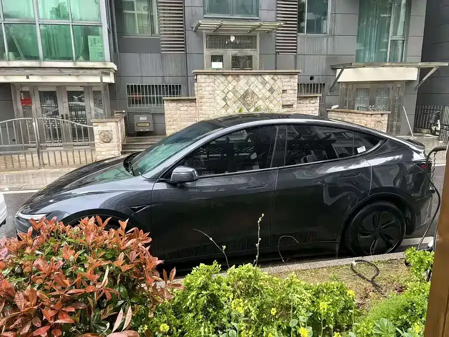 Tesla Model Y Model Y 2025 rear-wheel drive first edition 2025 — миниатюра 3