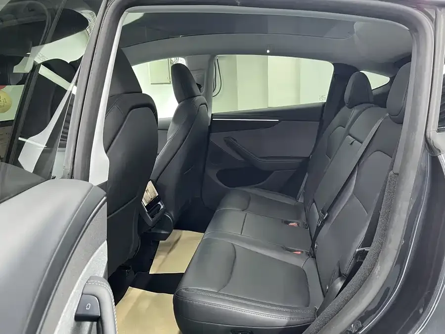 Tesla Model Y Model Y 2025 rear-wheel drive version 2025 — миниатюра 3