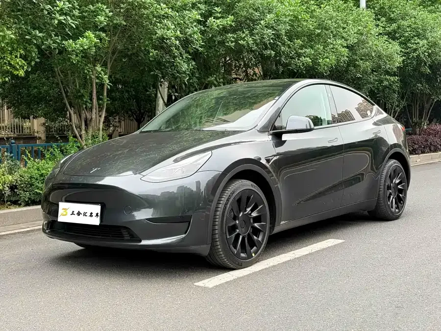 Tesla Model Y Model Y 2024 rear-wheel drive version 2024 — фото 1, купить с доставкой в Москву