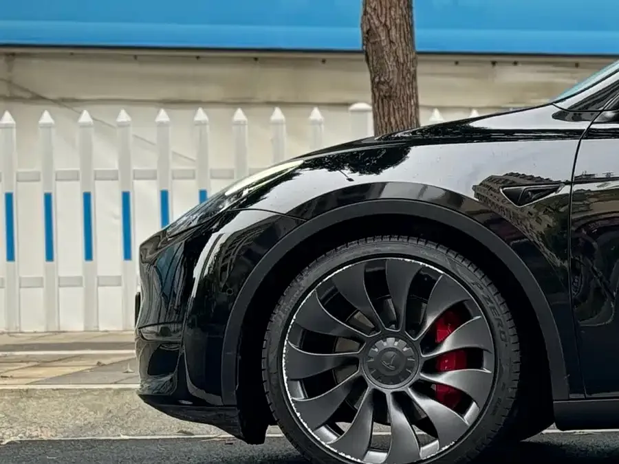 Tesla Model Y Model Y 2022 Performance All-Wheel Drive Edition 2023 — миниатюра 3