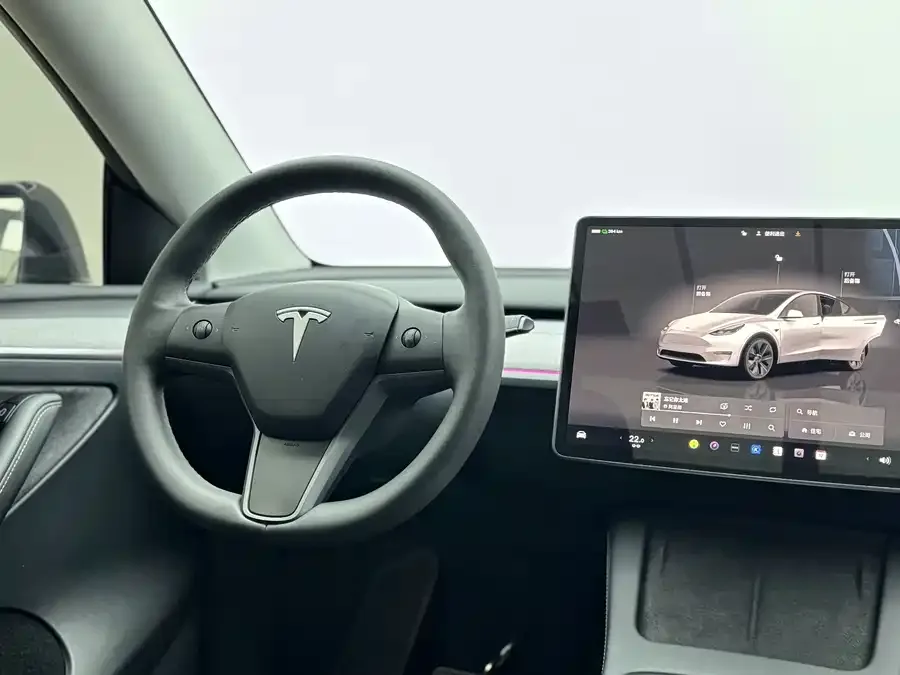 Tesla Model Y Model Y 2024 rear-wheel drive version 2024 — миниатюра 3