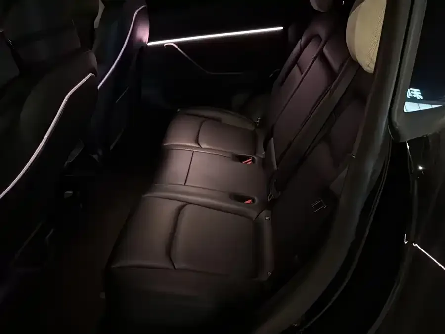 Tesla Model Y Model Y 2023 rear-wheel drive version 2023 — миниатюра 3
