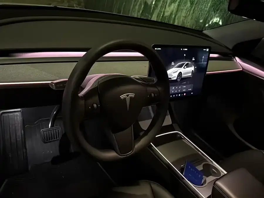 Tesla Model Y Model Y 2023 rear-wheel drive version 2023 — миниатюра 5