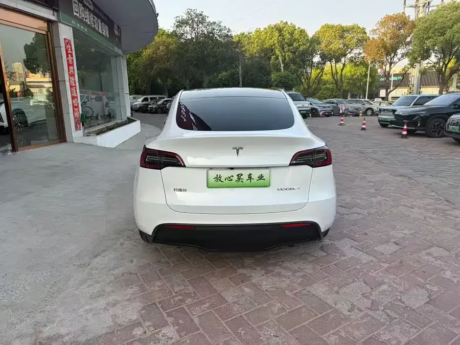 Tesla Model Y Model Y 2024 rear-wheel drive version 2024 — миниатюра 3