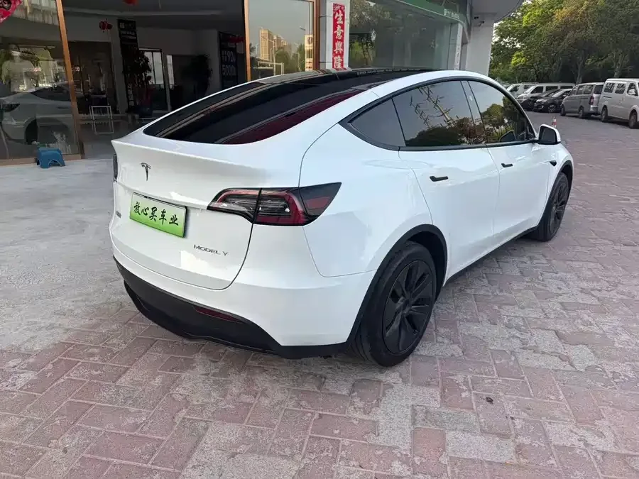 Tesla Model Y Model Y 2024 rear-wheel drive version 2024 — миниатюра 5