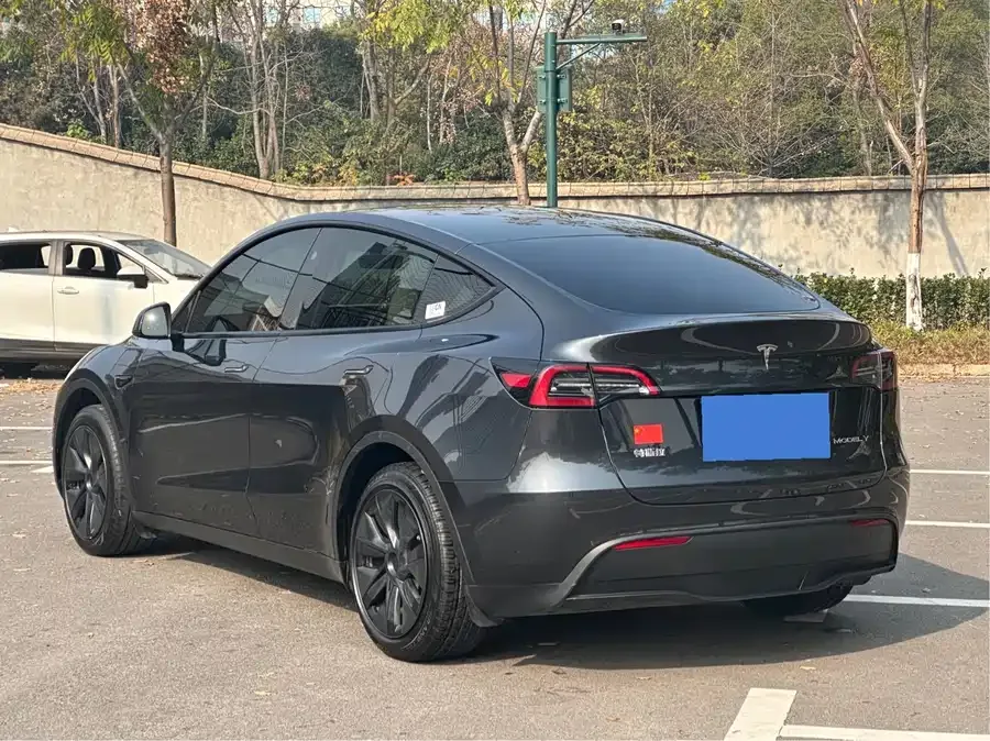 Tesla Model Y Model Y 2024 rear-wheel drive version 2025 — миниатюра 2