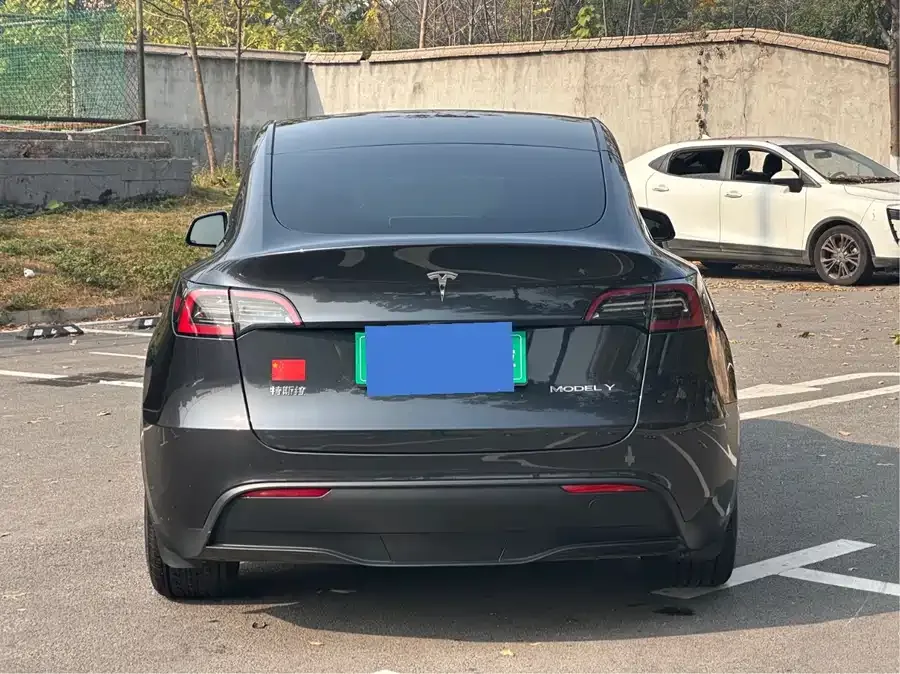 Tesla Model Y Model Y 2024 rear-wheel drive version 2025 — миниатюра 4