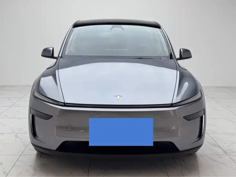 Tesla Model Y Model Y 2025 rear-wheel drive version 2025 — фото 1, купить с доставкой в Москву