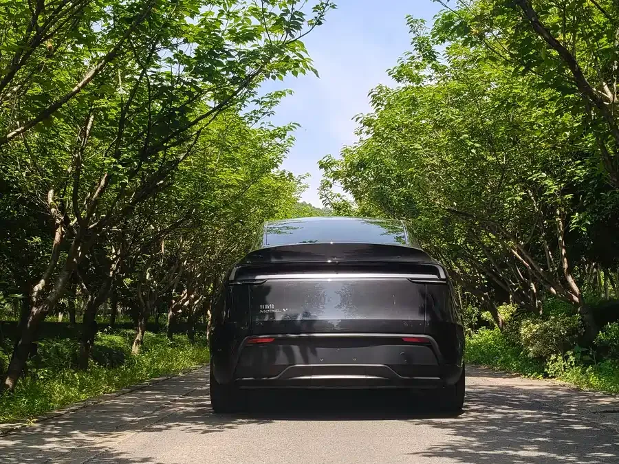 Tesla Model Y Model Y 2025 rear-wheel drive version 2025 — миниатюра 2
